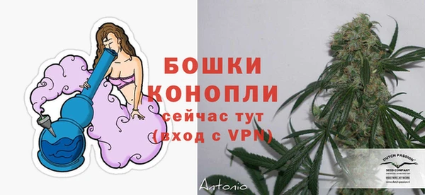 гашик Карпинск