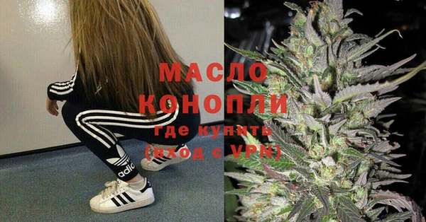 гашик Карпинск