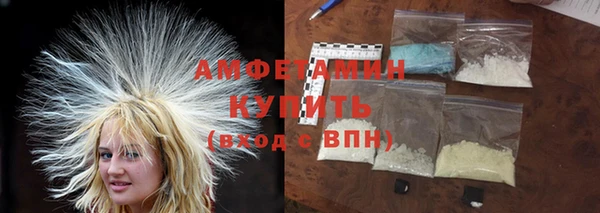 гашик Карпинск