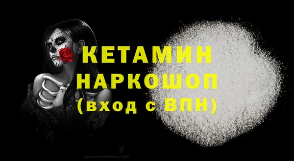 гашик Карпинск