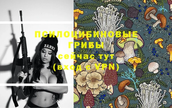 индика Касимов