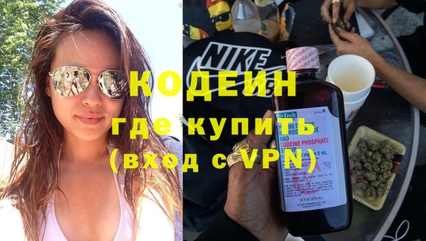гашик Карпинск