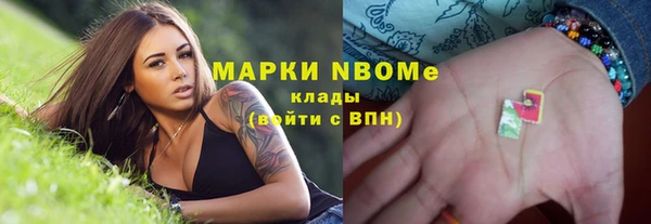 гашик Карпинск