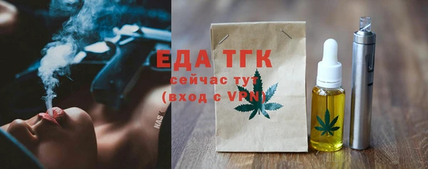индика Бердск