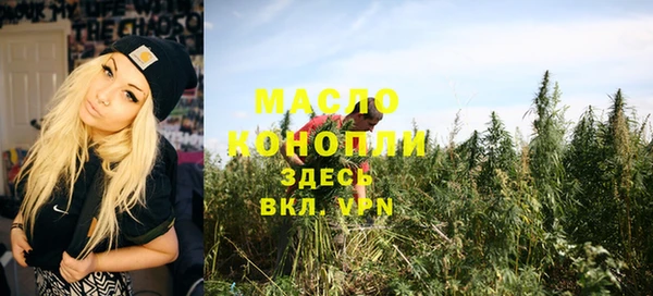 индика Касимов