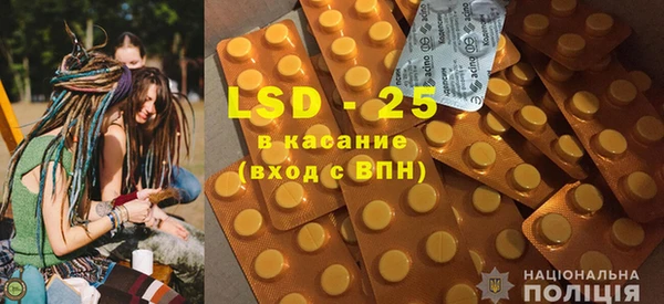 гашик Карпинск