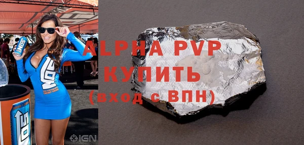 индика Касимов