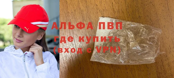гашик Карпинск