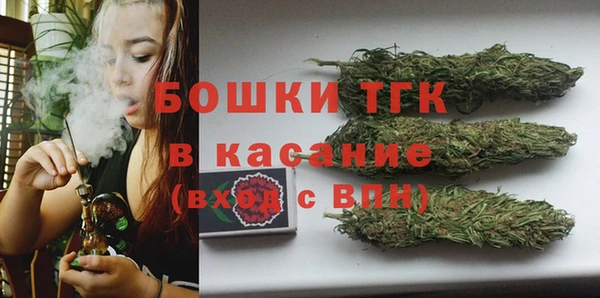 гашик Карпинск