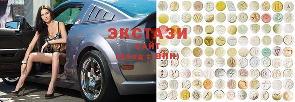 индика Касимов